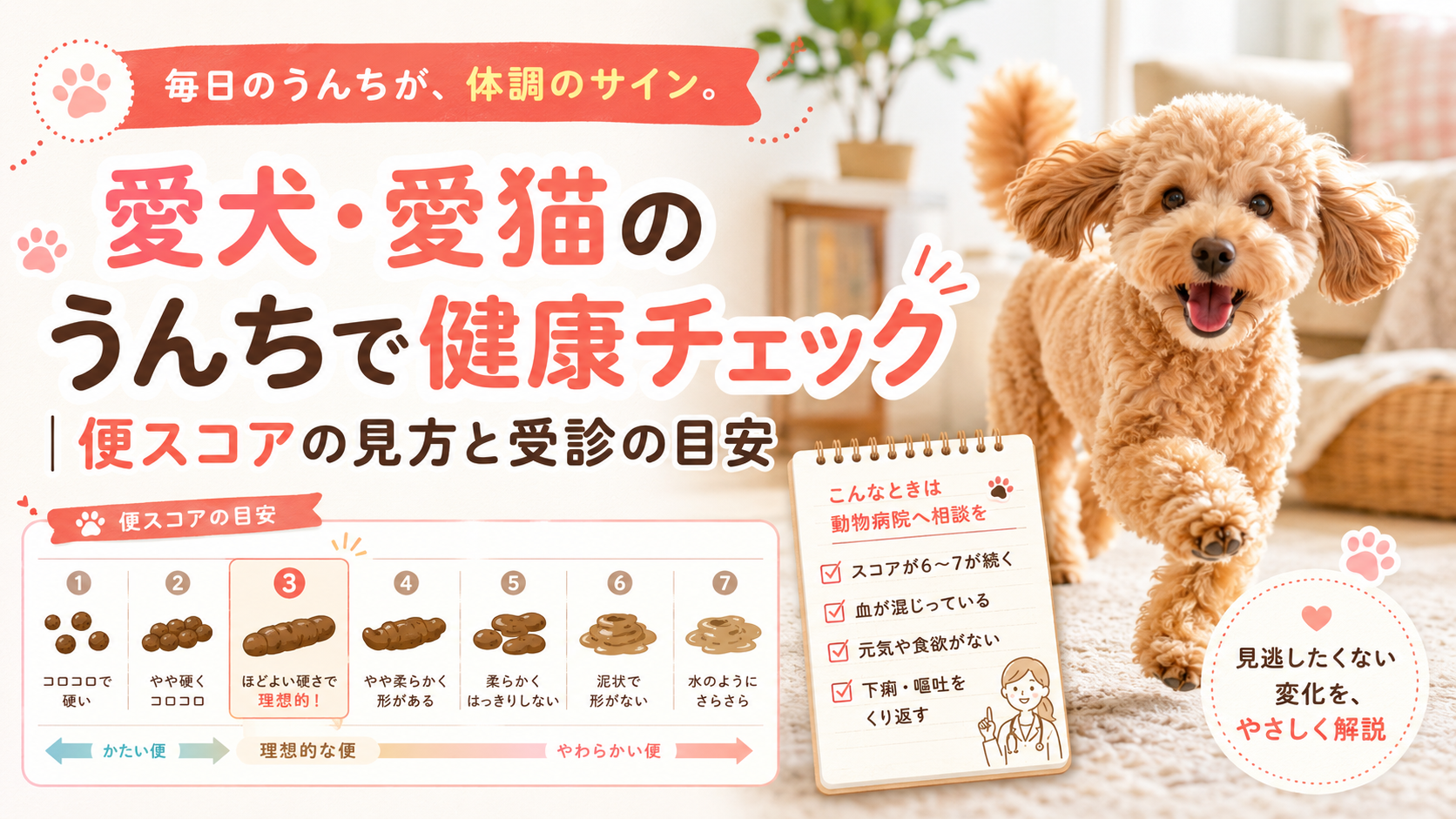 愛犬・愛猫のうんちで健康チェック｜便スコアの見方と受診の目安