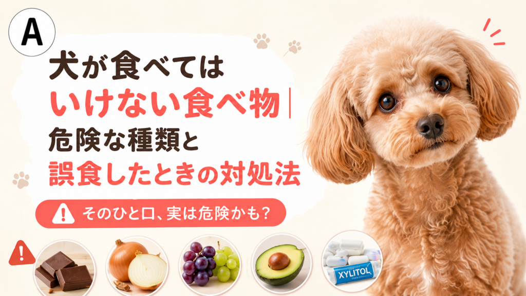 犬が食べてはいけない食べ物｜危険な種類と誤食したときの対処法
