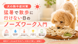 犬の熱中症対策｜猛暑で散歩に行けない日のノーズワーク入門